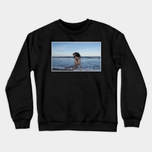 English Springer Spaniel Crewneck Sweatshirt